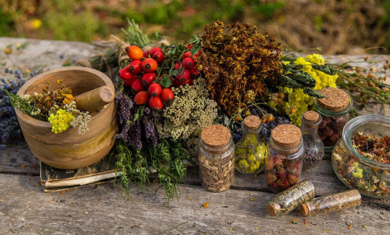 dried medicinal herbs on the table selective focu 2024 03 12 18 57 10 utc