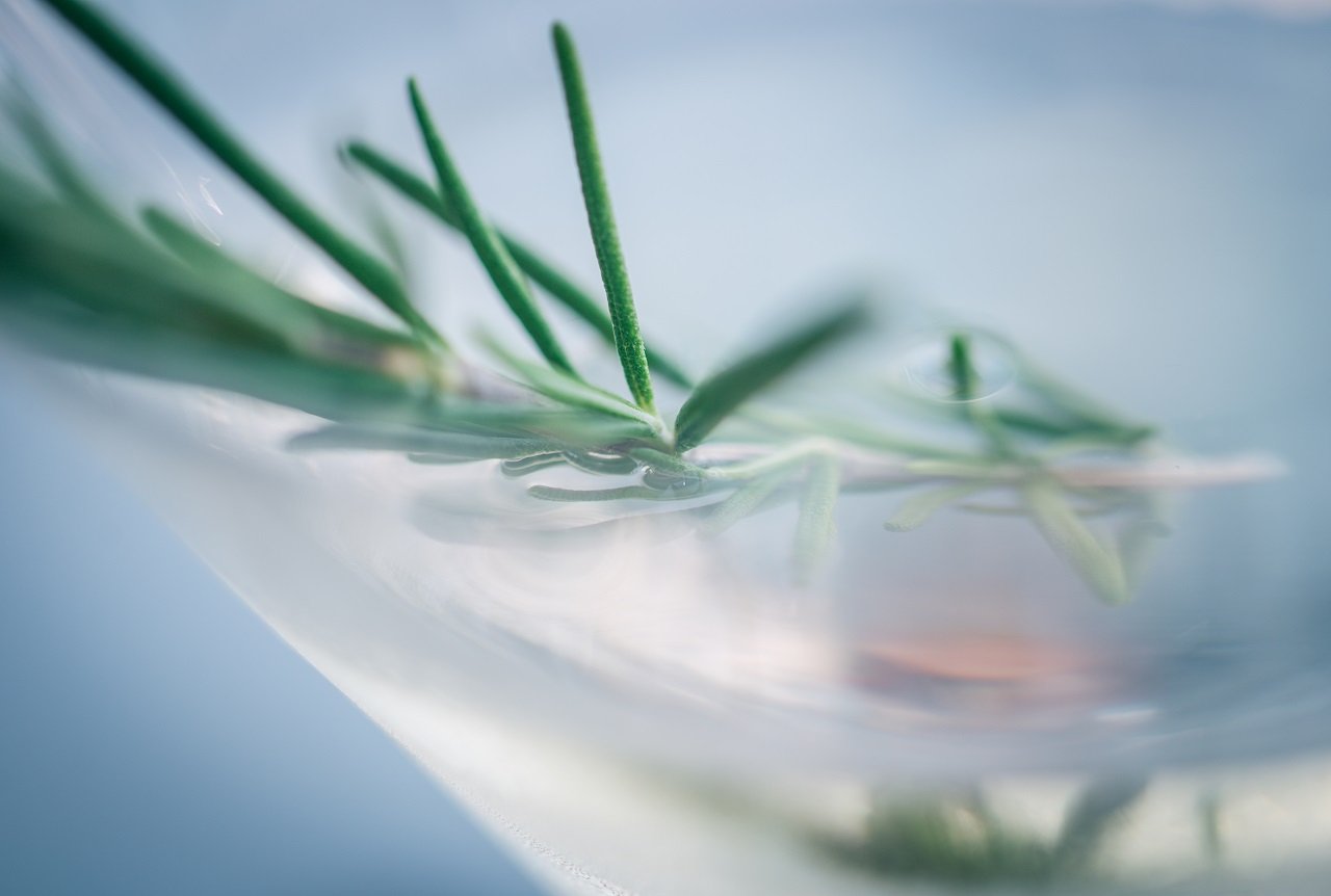 martini cocktail with rosemary close up macro sho 2023 11 27 04 50 01 utc