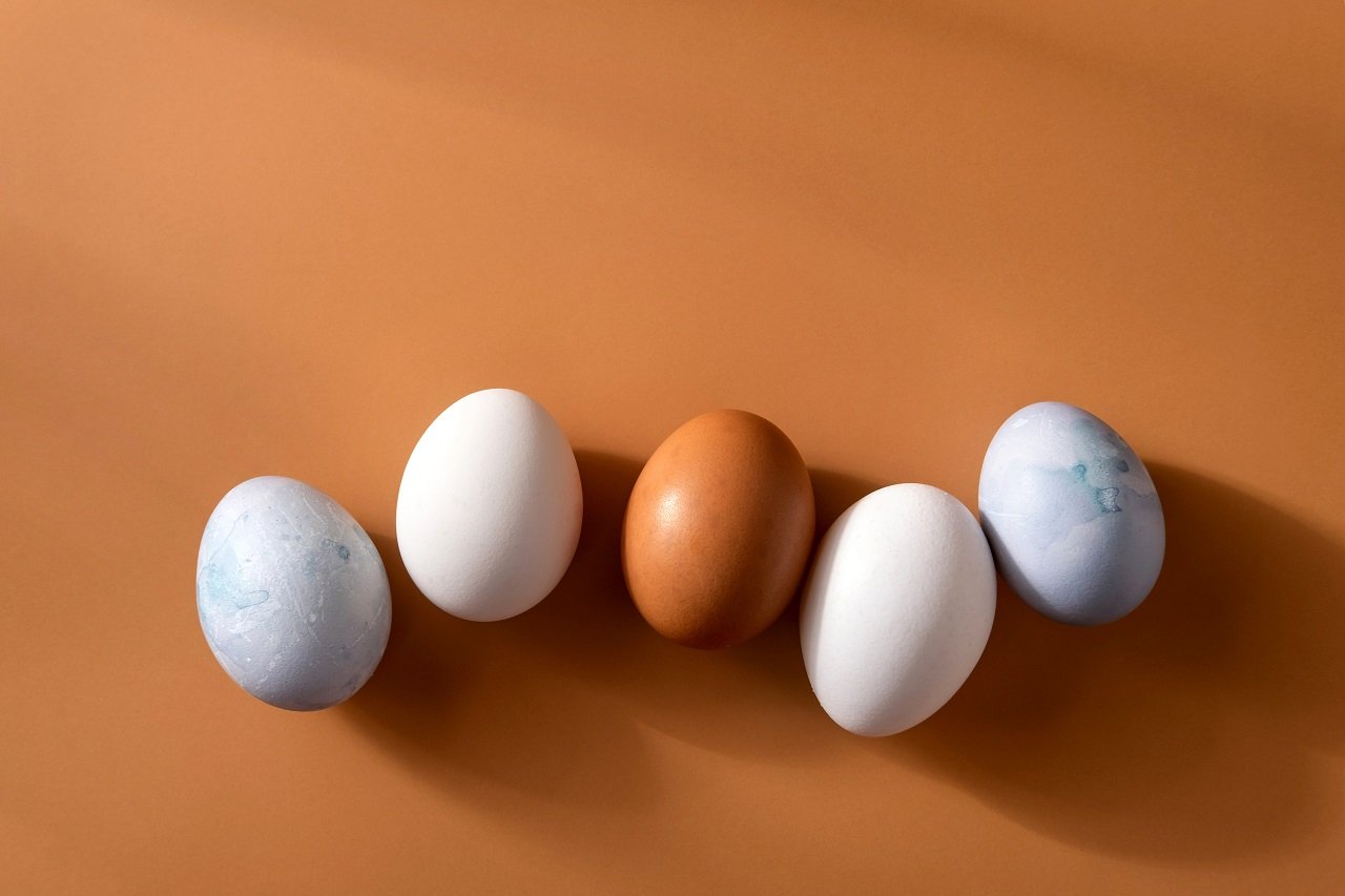 naturally dyed easter eggs on beige background ec 2023 11 27 05 05 19 utc