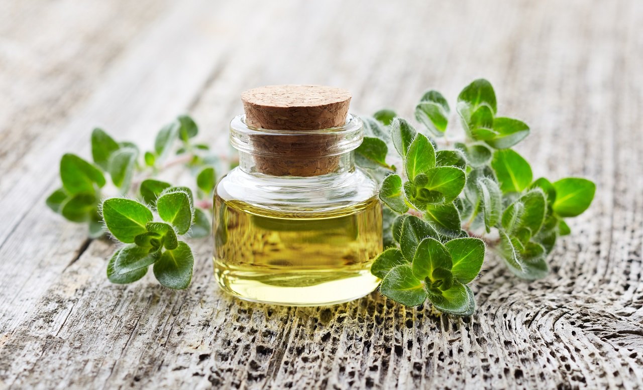 oregano plant with essential oil on wooden backgro 2023 11 27 05 29 29 utc